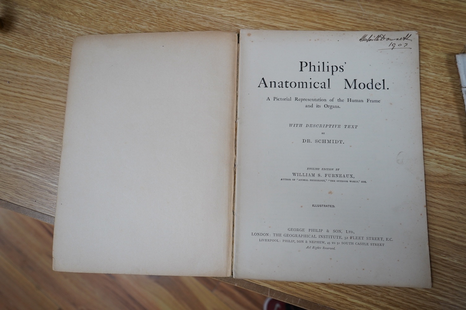 An early 20th century Philips’ Anatomical Model book by William S. Furneaux, together with various pages from a scientific manual, etc. Condition - poor to fair.